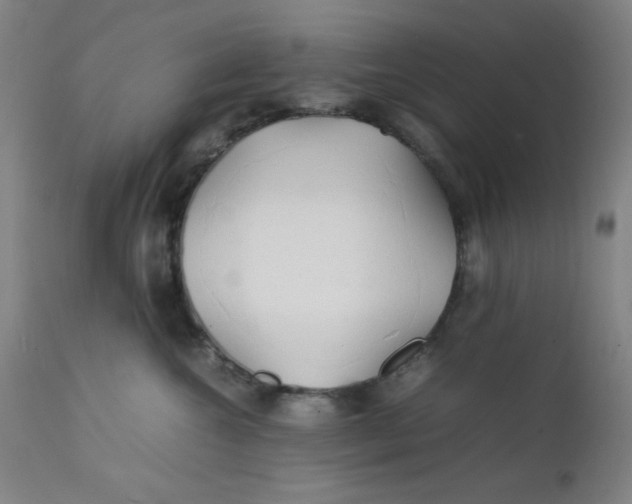 X0000112150572200909041106