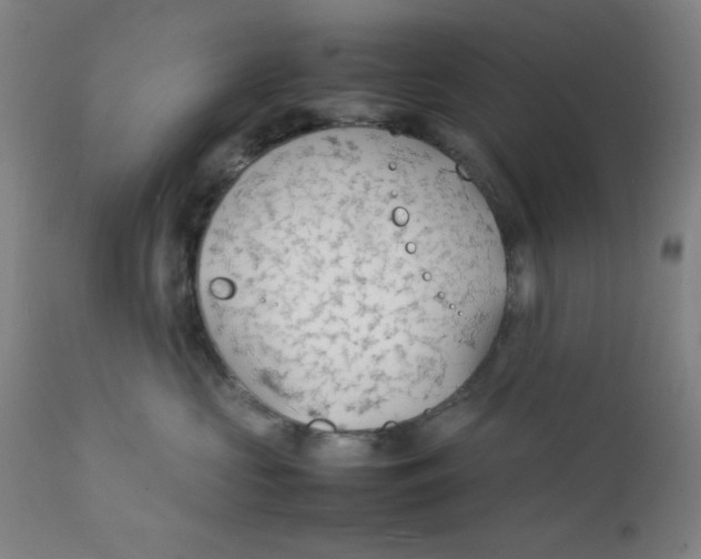 X0000112150573200909041106