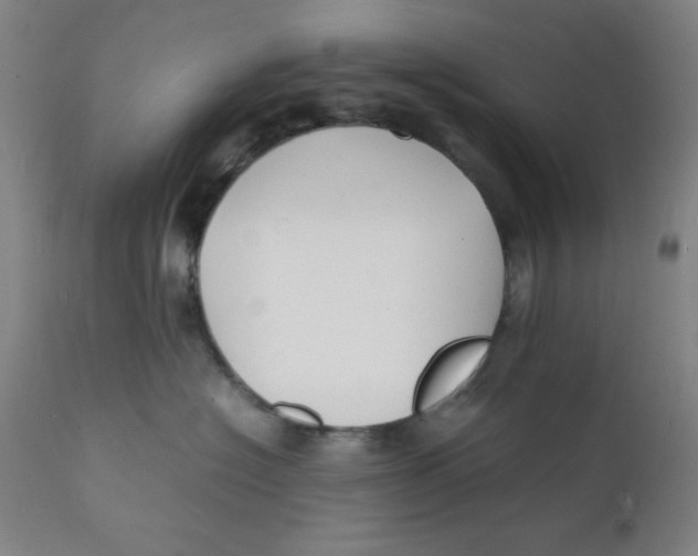 X0000112150574200909041106