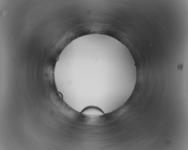 X0000112150575200909041106