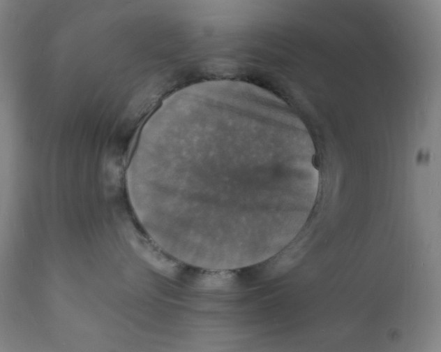 X0000112150576200909041106