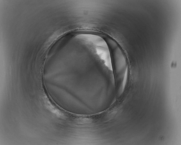 X0000112150577200909041106