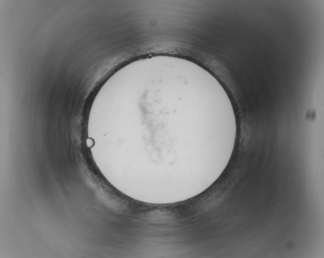 X0000112150578200909041106