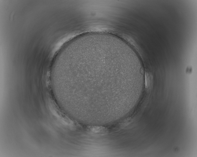 X0000112150579200909041106