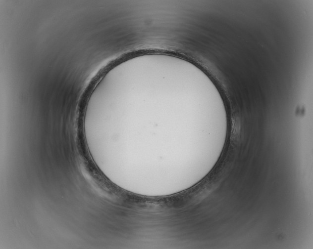 X0000112150580200909041106