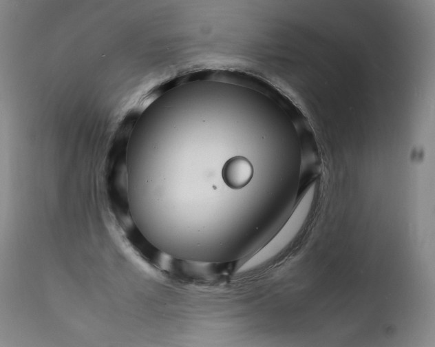 X0000112150581200909041106