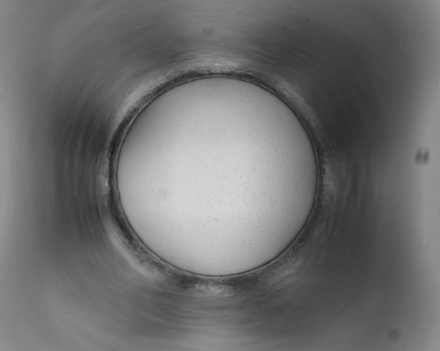 X0000112150582200909041106