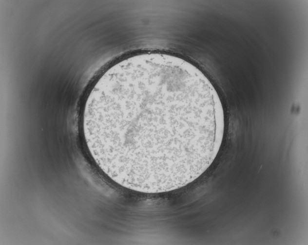 X0000112150584200909041106