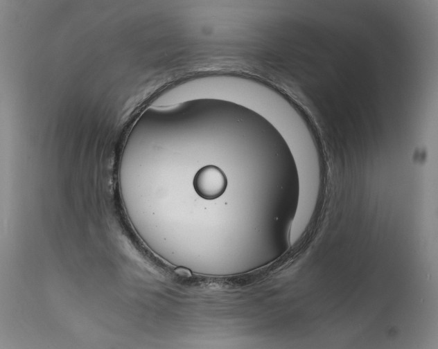 X0000112150585200909041106