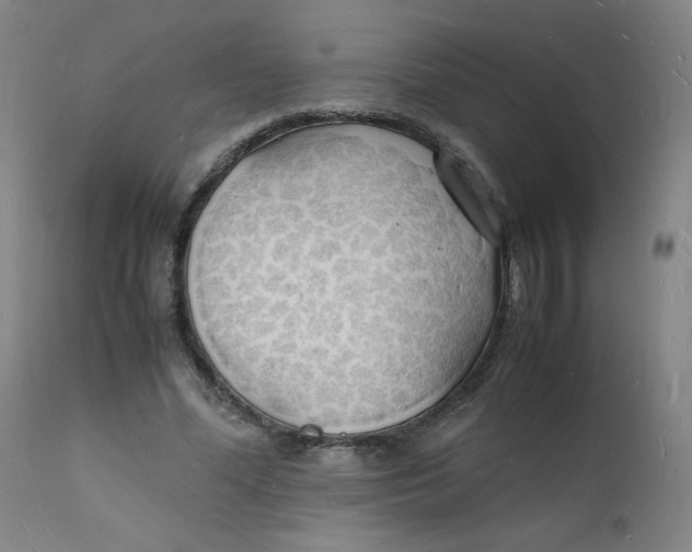 X0000112150588200909041106