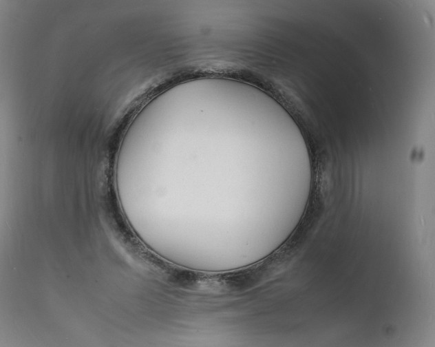 X0000112150591200909041105