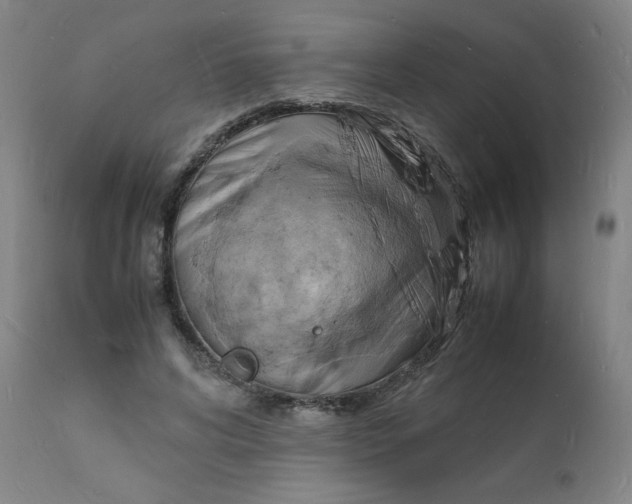 X0000112150592200909041105