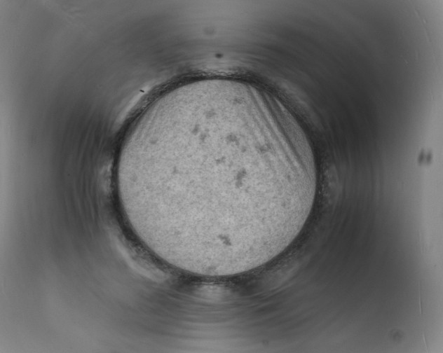 X0000112150596200909041105