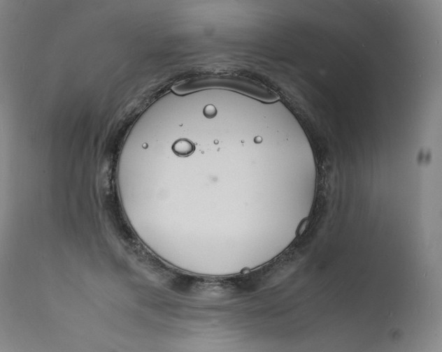 X0000112150597200909041105