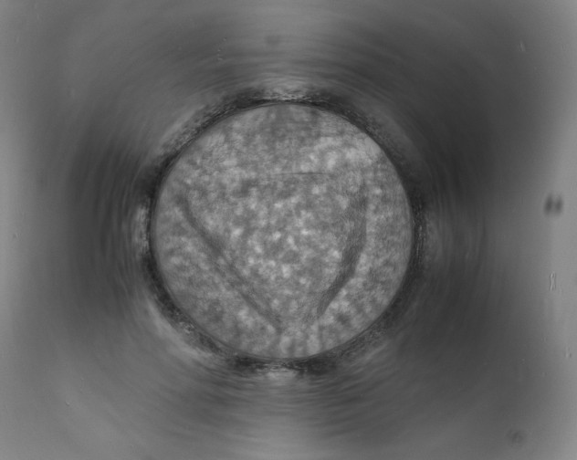 X0000112150598200909041105