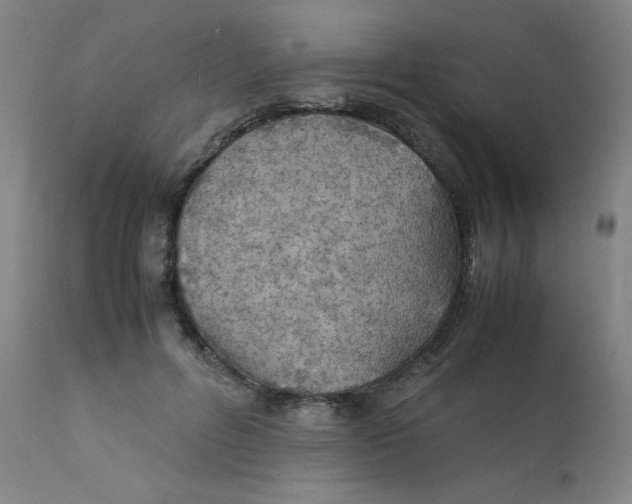 X0000112150600200909041105