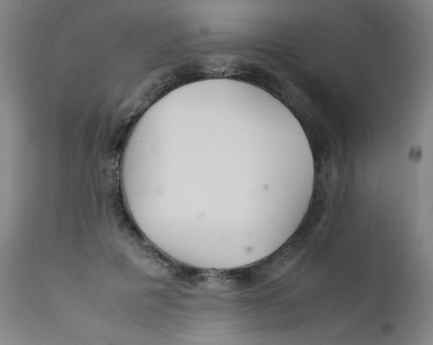 X0000112150601200909041105