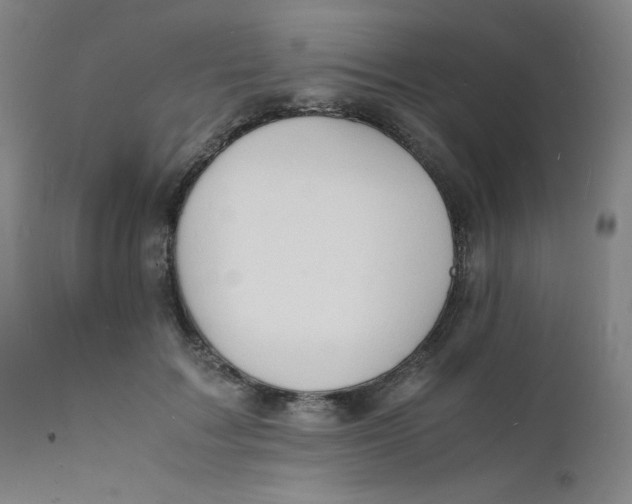 X0000112150603200909041105