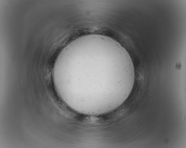 X0000112150607200909041105