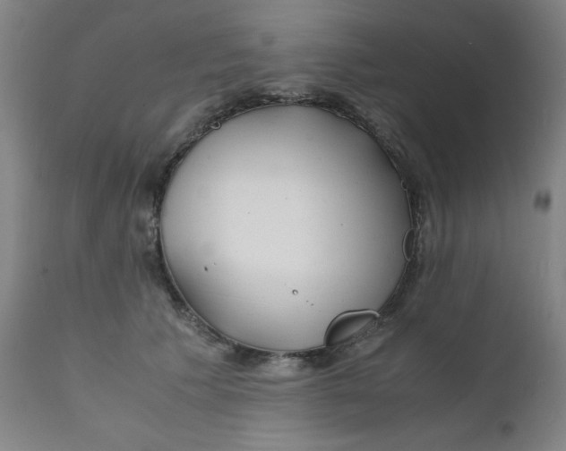 X0000112150609200909041105