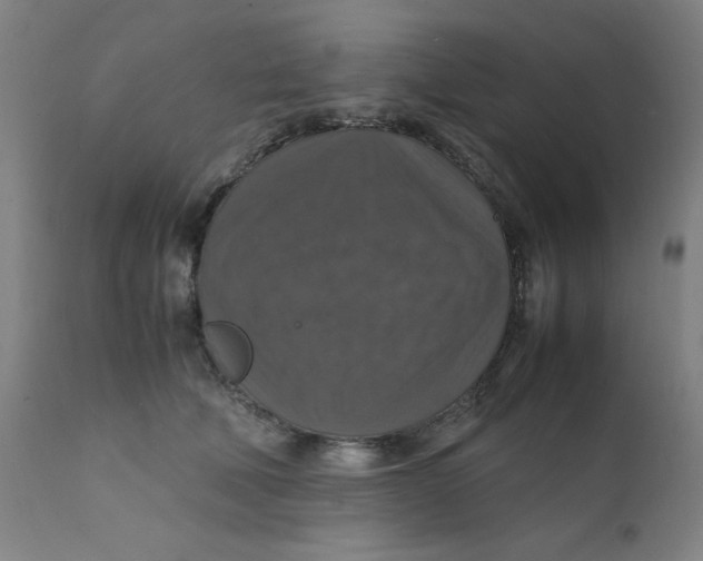 X0000112150610200909041105