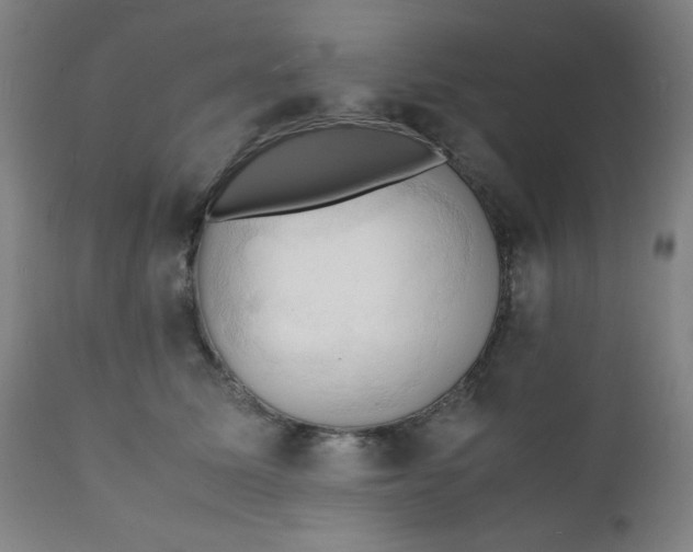 X0000112150611200909041105