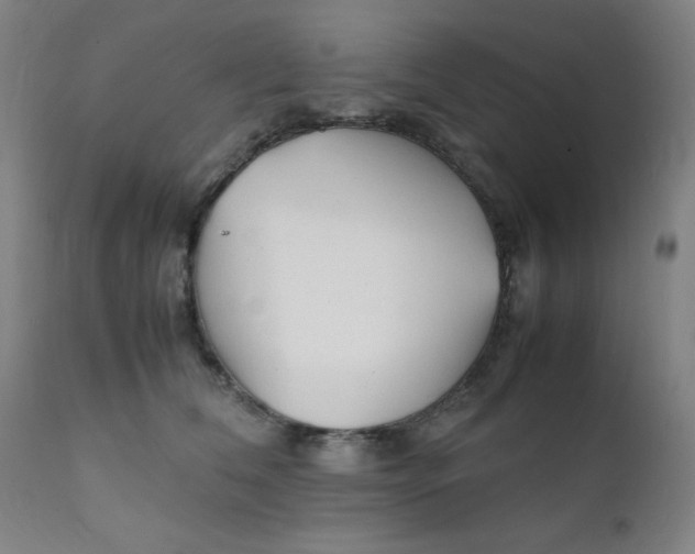 X0000112150612200909041105