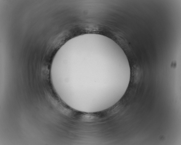 X0000112150614200909041105