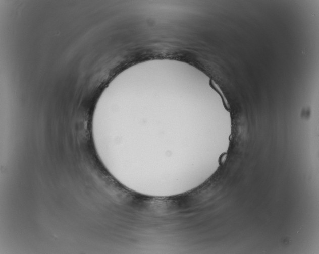 X0000112150615200909041105