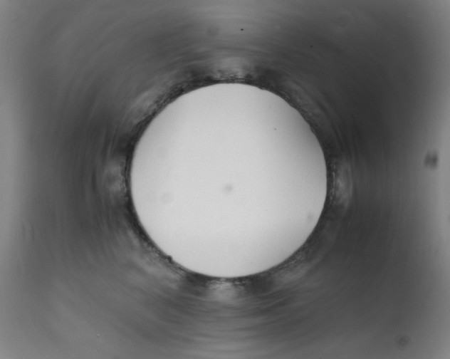 X0000112150616200909041105