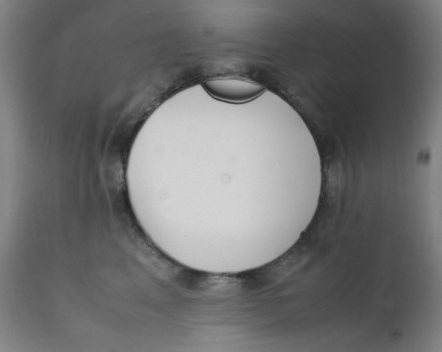 X0000112150617200909041105