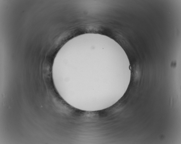 X0000112150619200909041105