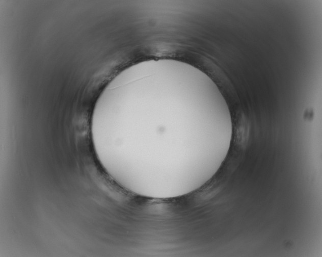 X0000112150620200909041105