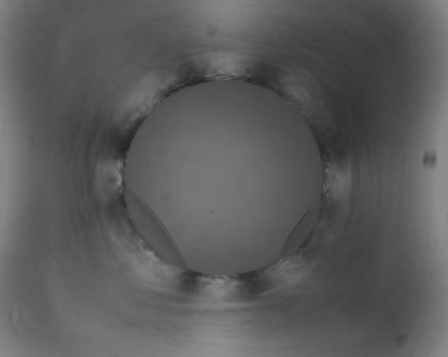 X0000112150621200909041105