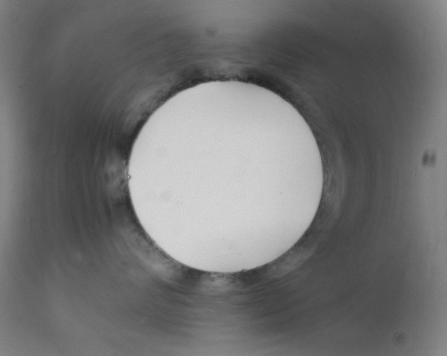 X0000112150624200909041105