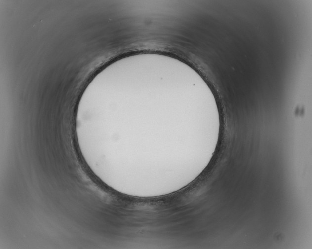 X0000112150625200909041104