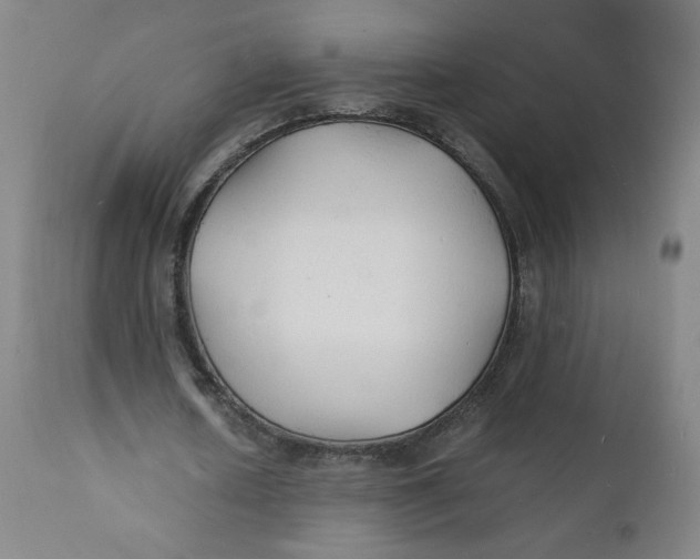 X0000112150626200909041104