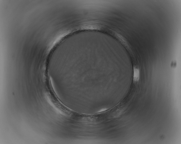 X0000112150627200909041104