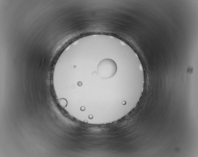 X0000112150629200909041104