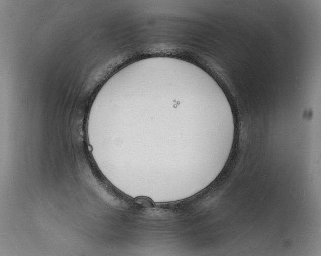 X0000112150633200909041104