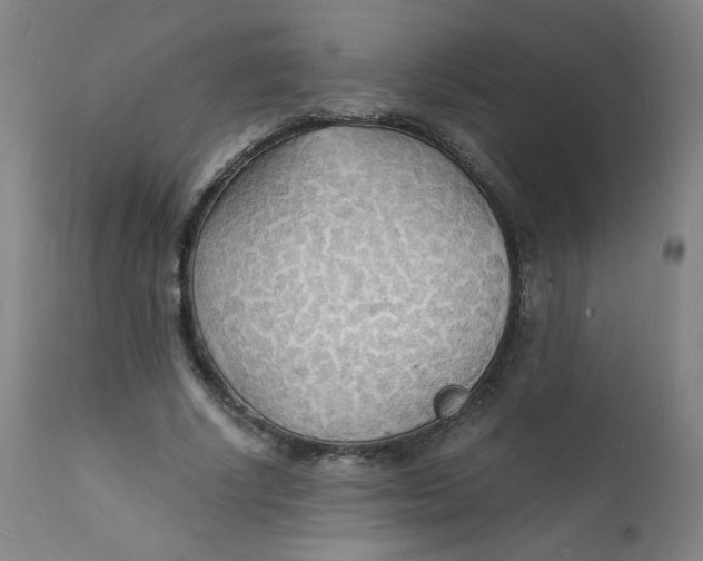 X0000112150634200909041104