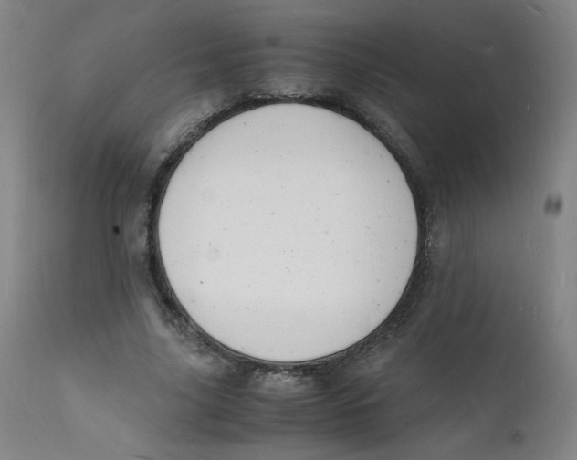 X0000112150635200909041104