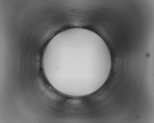 X0000112150639200909041104