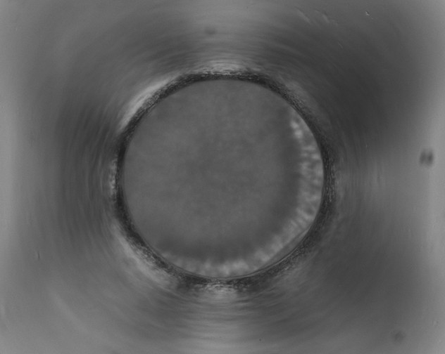 X0000112150640200909041104