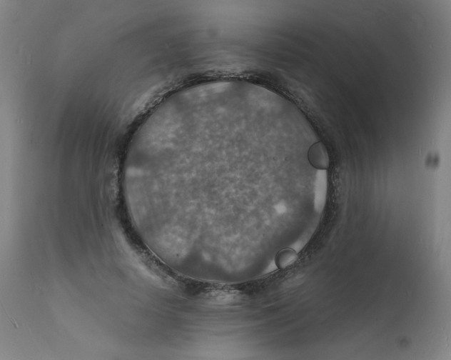 X0000112150642200909041104