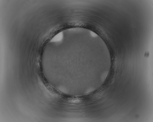 X0000112150643200909041104