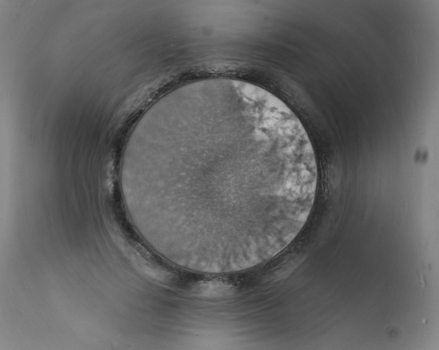 X0000112150644200909041104