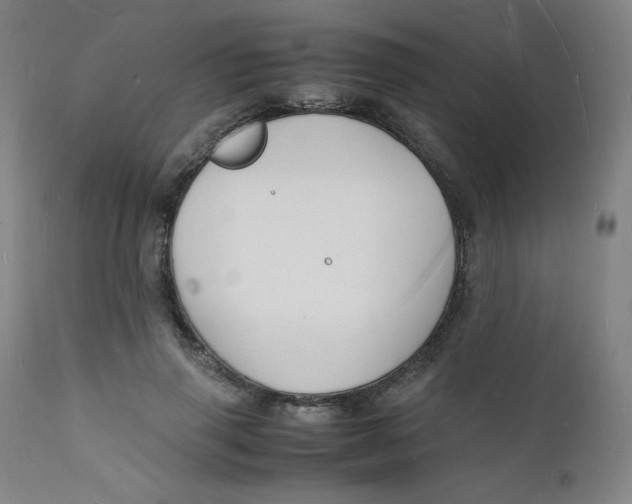 X0000112150645200909041104