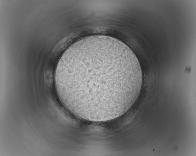 X0000112150648200909041104