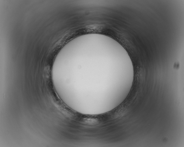 X0000112150649200909041104